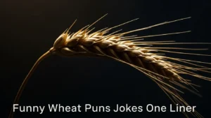 Funny Wheat Puns Jokes One Liner