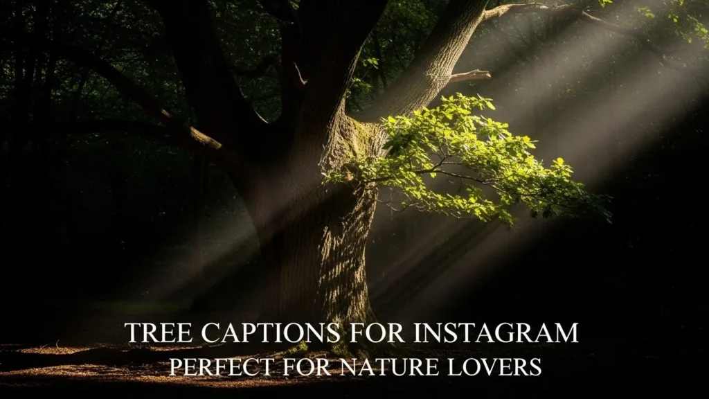 Tree Captions for Instagram Perfect for Nature Lovers
