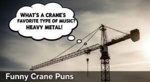 900+ Funny Crane Puns