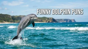 330+ Funny Dolphin Puns 2026
